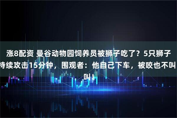 涨8配资 曼谷动物园饲养员被狮子吃了？5只狮子持续攻击15分钟，围观者：他自己下车，被咬也不叫！