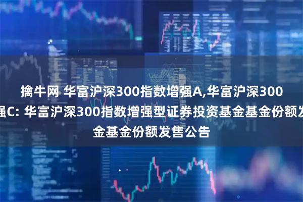 擒牛网 华富沪深300指数增强A,华富沪深300指数增强C: 华富沪深300指数增强型证券投资基金基金份额发售公告
