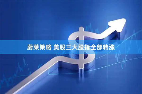蔚莱策略 美股三大股指全部转涨