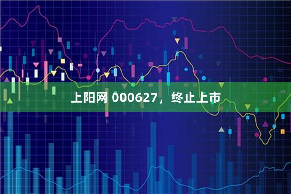 上阳网 000627，终止上市