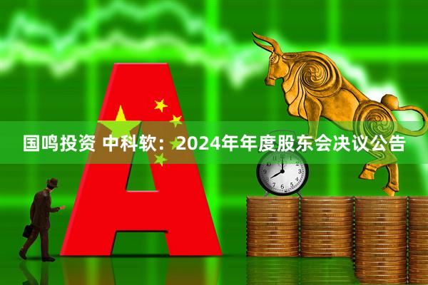 国鸣投资 中科软：2024年年度股东会决议公告