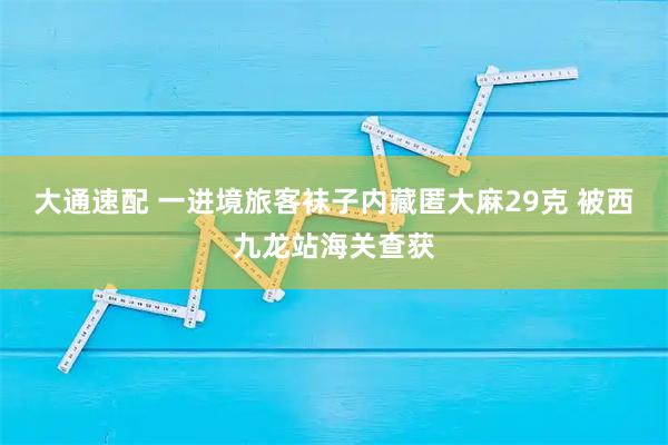 大通速配 一进境旅客袜子内藏匿大麻29克 被西九龙站海关查获