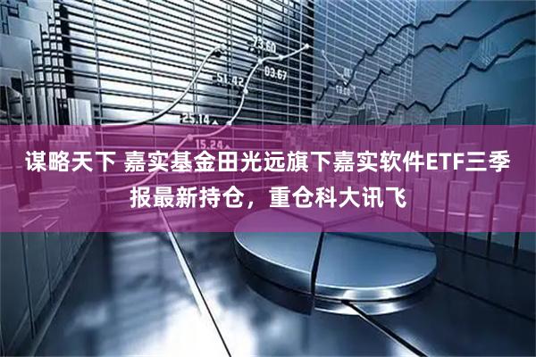 谋略天下 嘉实基金田光远旗下嘉实软件ETF三季报最新持仓，重仓科大讯飞